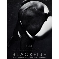 [英] 黑鯨 (Blackfish) (2013)[台版]