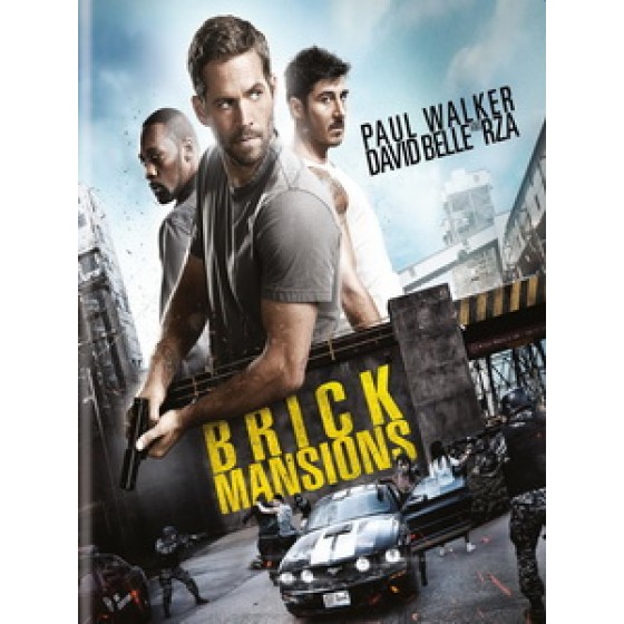 [英] 玩命特區 (Brick mansions) (2014)[台版]