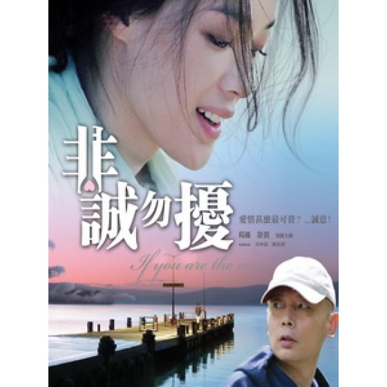 [中] 非誠勿擾 (If You Are The One) (2008)[台版]