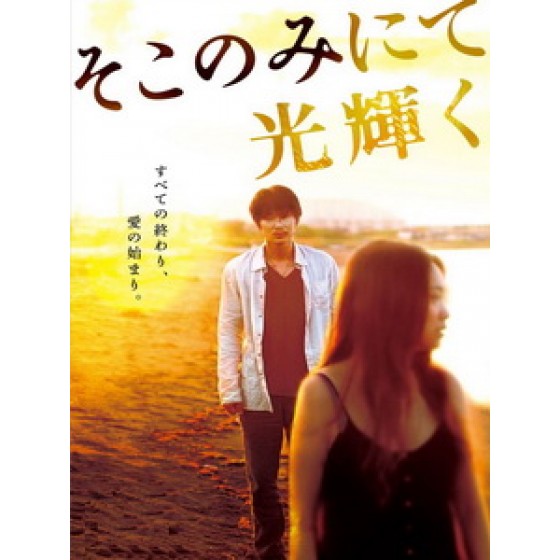 [日] 陽光只在這裡燦爛 (The Light Shines Only There) (2014)