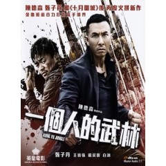 [中] 一個人的武林 (Kung Fu Jungle) (2014)[台版]