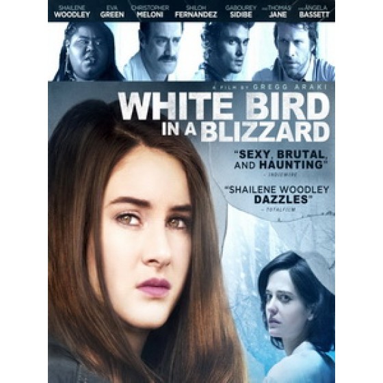 [英] 暴風雪中的白鳥 (White Bird in a Blizzard) (2013)