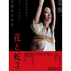 [日] 花與蛇 3 (Flower and Snake 3) (2010) [台版]