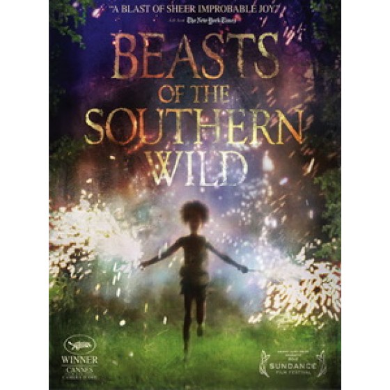 [英] 南方野獸樂園 (Beasts of the Southern Wild) (2012)[台版字幕]