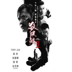 [中] 殺破狼 2 (SPL 2) (2015)[台版]