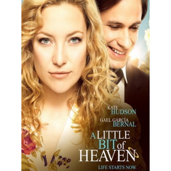 [英] 想愛趁現在 (A Little Bit of Heaven) (2010)[台版字幕]