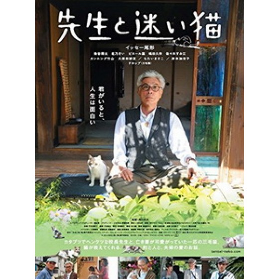 [日] 老師與流浪貓 (Teacher and Stray Cat) (2015)[台版字幕]