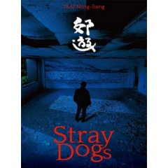 [中] 郊遊 (Stray Dogs) (2014)