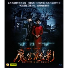 [中] 魔宮魅影 (Phantom Of The Theatre) (2016)[台版]