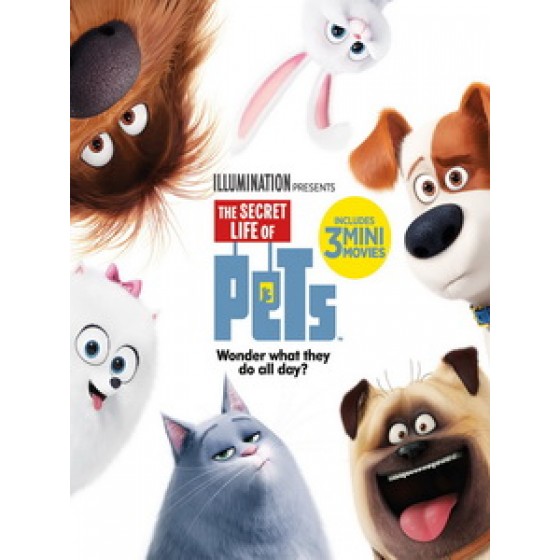 [英] 寵物當家 (The Secret Life of Pets) (2016)[台版]