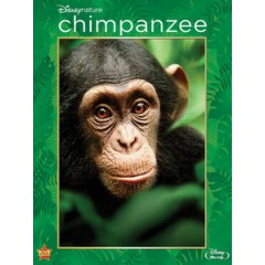 [英] 黑猩猩的世界 (Chimpanzee) (2012)[台版字幕]