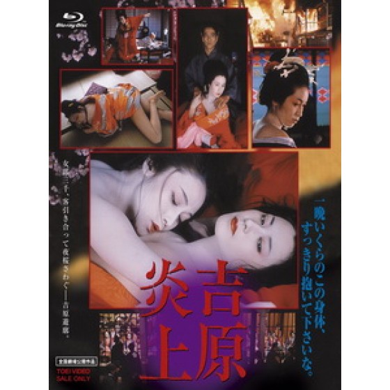 [日] 吉原炎上 (Tokyo Bordello) (1987)