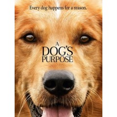 [英] 為了與你相遇 (A Dog's Purpose) (2017)[台版字幕]