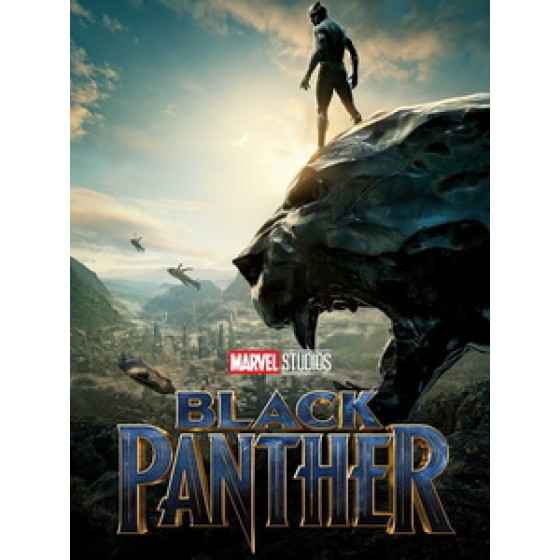 [英] 黑豹 3D (Black Panther 3D) (2017) <2D + 快門3D>[台版]