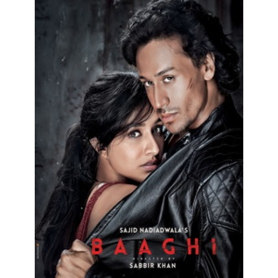 [印] 為愛叛逆 (Baaghi - A Rebel For Love) (2016)[台版字幕]