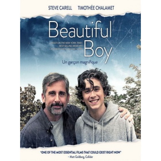 [英] 美麗男孩 (Beautiful Boy) (2018)[台版字幕]