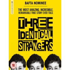 [英] 孿生陌生人 (Three Identical Strangers) (2018)[台版字幕]