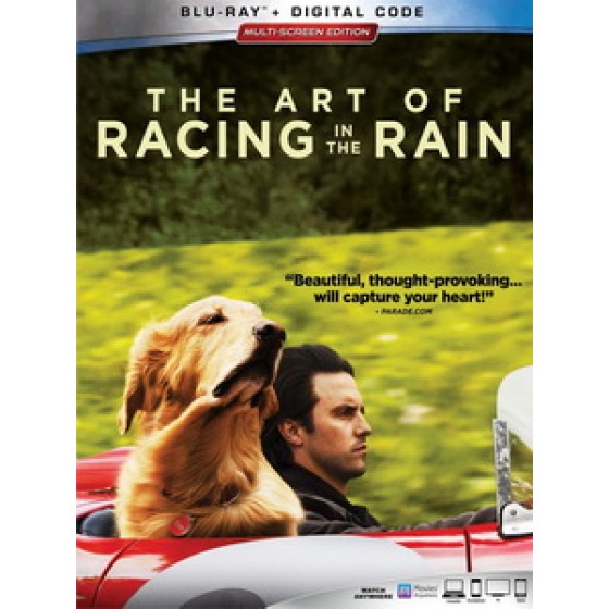 [英] 我在雨中等你 (The Art of Racing in the Rain) (2019)[台版字幕]