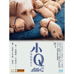 [中] 再見了！小Q (Little Q) (2019)[台版字幕]