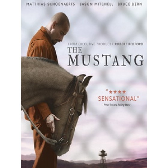 [英] 野馬 (The Mustang) (2019)[台版字幕]