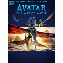 [英] 阿凡達 - 水之道 3D (Avatar - The Way of Water 3D) (2022) [Disc *2] <2D + 快門3D> [台版字幕]