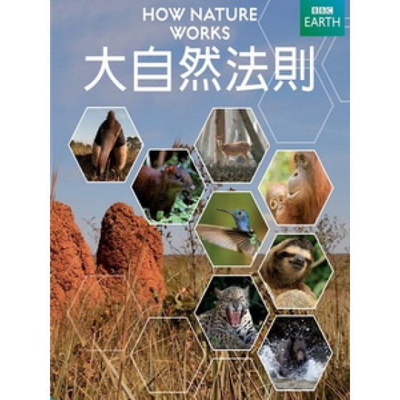 大自然法則 (How Nature Works)[台版]