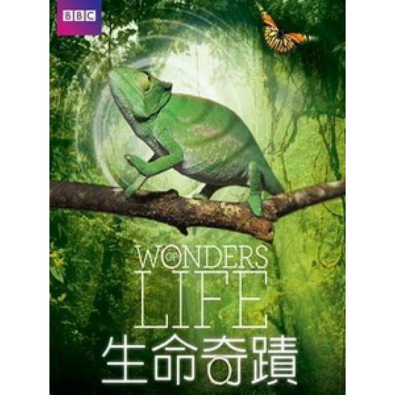 生命奇蹟 (Wonders of Life) [Disc *2][台版]