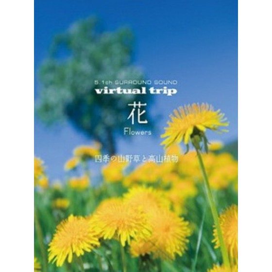 實境之旅 - 花 (Virtual Trip - Flowers)