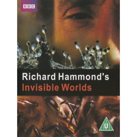 隱形的世界 (Richard Hammonds Invisible Worlds)[台版]