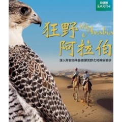 狂野阿拉伯 (Wild Arabia) (2013)[台版字幕]