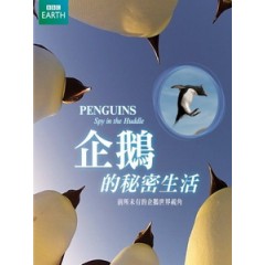 企鵝的秘密生活 (Penguins Spy In The Huddle)[台版]