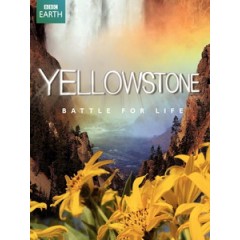 黃石公園 (Yellowstone - Battle for Life)[台版]