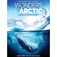 奇幻冰極 3D (Wonders of the Arctic 3D) <2D + 快門3D>