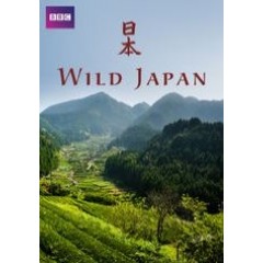 野性日本 (Wild Japan) [台版字幕]