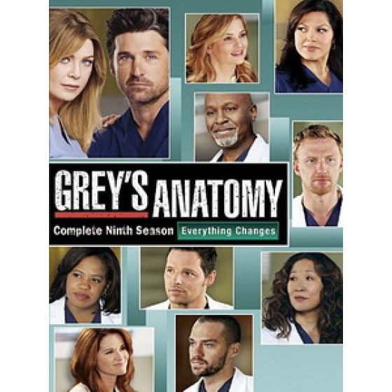 [英] 實習醫生 第九季 (Grey's Anatomy S09) (2012) [Disc *2]