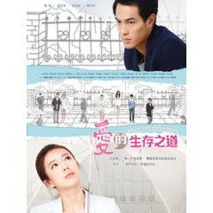 [台] 愛的生存之道 (The Pursuit of Happiness) (2013)