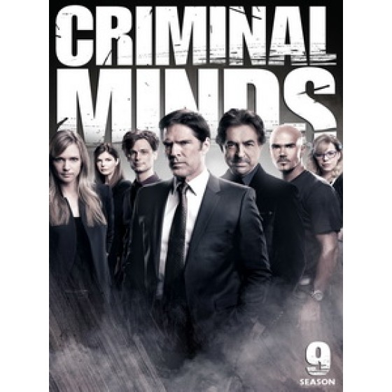 [英] 犯罪心理 第九季 (Criminal Minds S09) (2013)  [Disc*2]