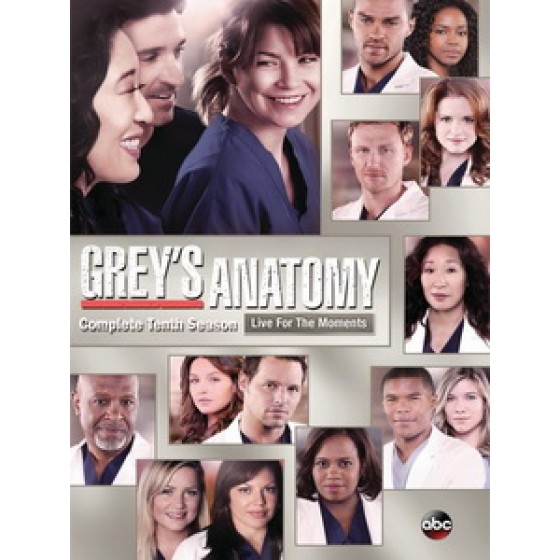 [英] 實習醫生 第十季 (Grey's Anatomy S10) (2013) [Disc *2]