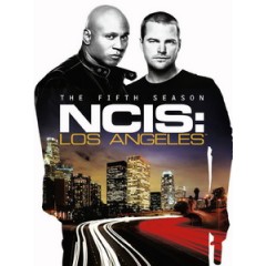 [英] 海軍罪案調查處 - 洛杉磯 第五季 (NCIS Los Angeles S05) (2013) [Disc *2]