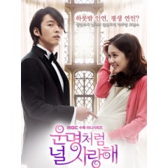 [韓] 命中註定我愛你 (Fated to Love You) (2014) [Disc *2][台版]