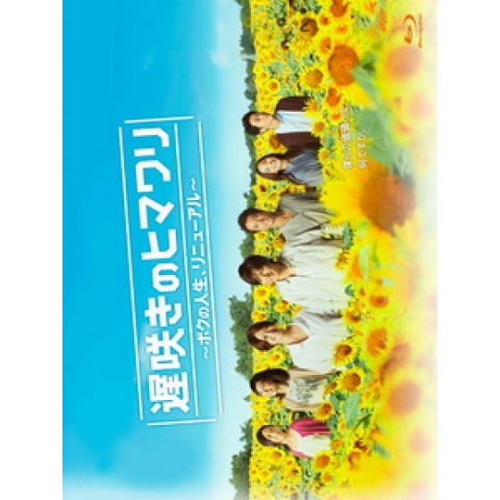 [日] 遲開的向日葵 (Late Blooming Sunflower) (2012)