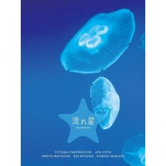 [日] 流星 (Nagareboshi) (2010)