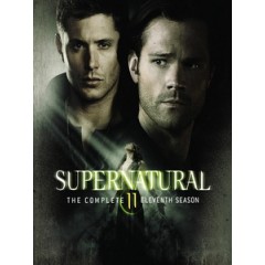 [英] 超自然檔案 第十一季 (Supernatural S11) (2015) [Disc *2][台版字幕]