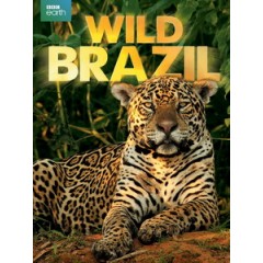 [英] 狂野巴西 (Wild Brazil) (2014)