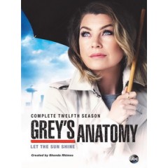 [英] 實習醫生 第十二季 (Grey's Anatomy S12) (2015) [Disc *2]