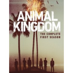 [英] 野獸家族 第一季 (Animal Kingdom S01) (2016) [Disc *2][台版字幕]