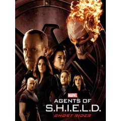 [英] 神盾局特工 第四季 (Agents of S.H.I.E.L.D. S04) (2016)  [Disc *2]