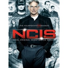 [英] 重返犯罪現場 第十四季 (NCIS S14) (2016) [Disc *2]