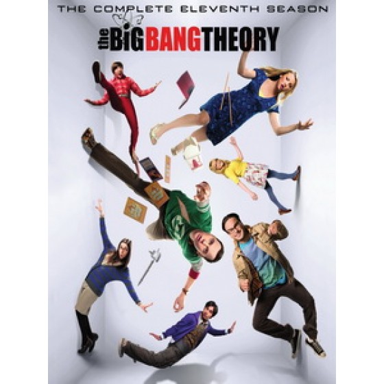 [英] 宅男行不行 第11季 (The Big Bang Theory S11) (2017)  [Disc *2]