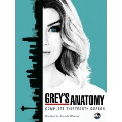 [英] 實習醫生 第十三季 (Grey's Anatomy S13) (2016) [Disc *2]